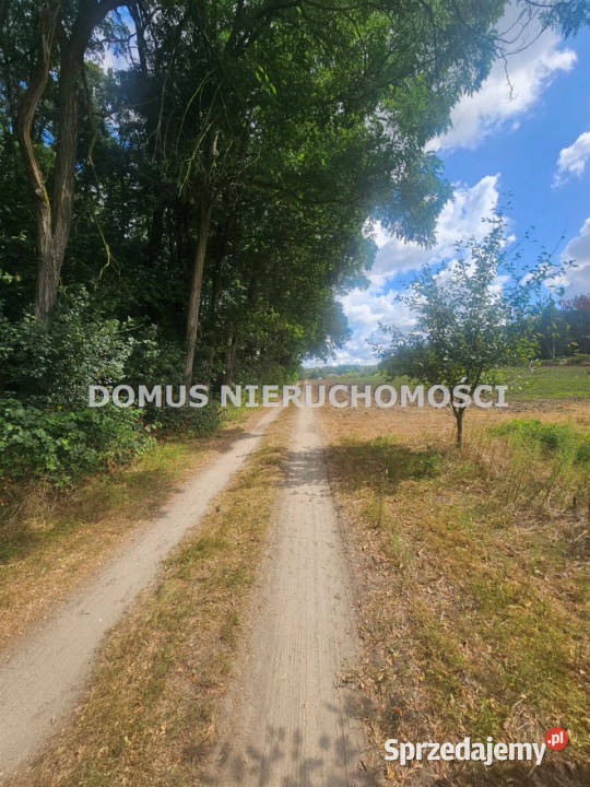 Grunt 1915m2 Nagawki Sprzedaż sprzedam