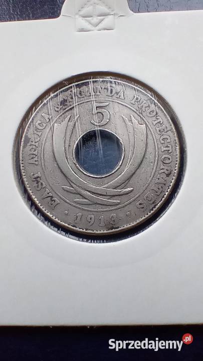 Stare monety 5 cent 1913 Brytyjska Afryka podkarpackie Lesko sprzedam