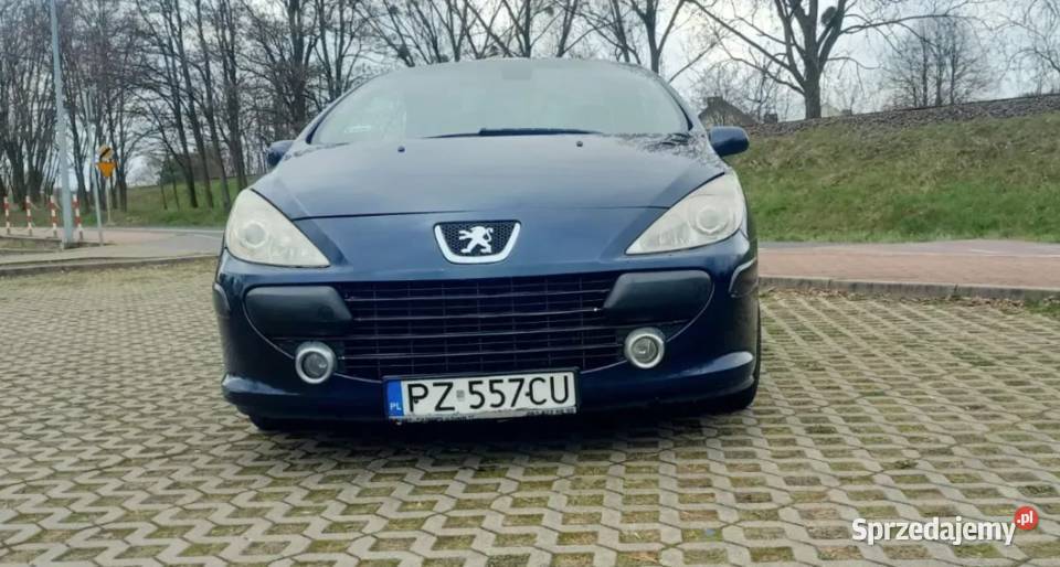 Peugeot 307 CC radio Mosina