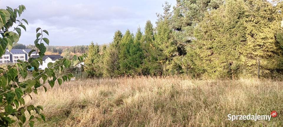 Centrum Szemuda MPZP media kanalizacja Szemud