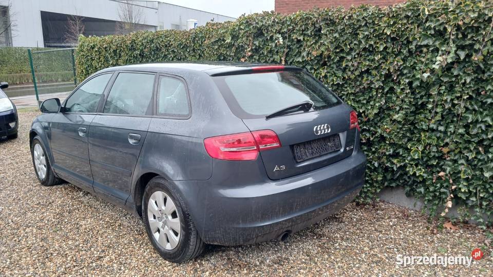 Audi A3 poliftingu klimatyzacja
