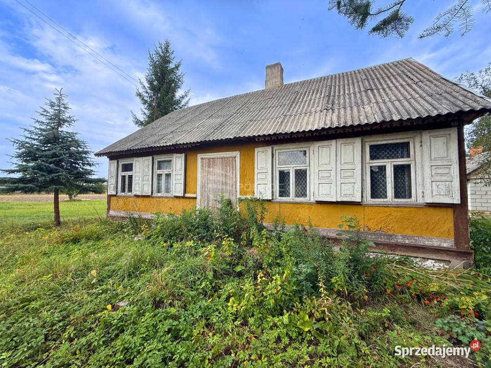 Siedlisko 11 ha w Kozłach Kozły