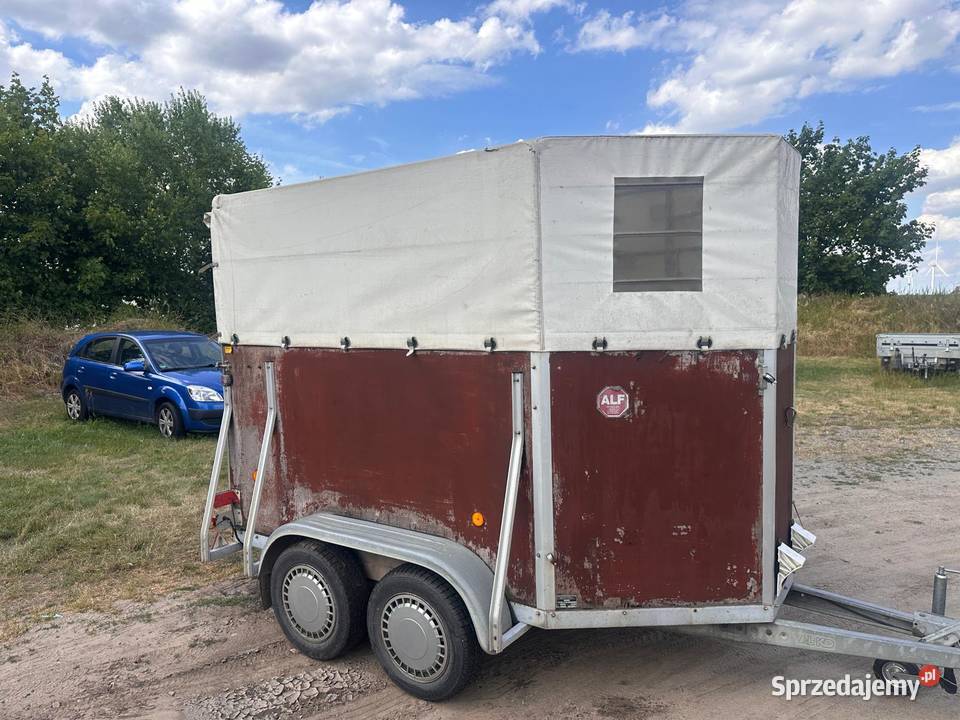 Przyczepa do transportu koni zachodniopomorskie Nowogard