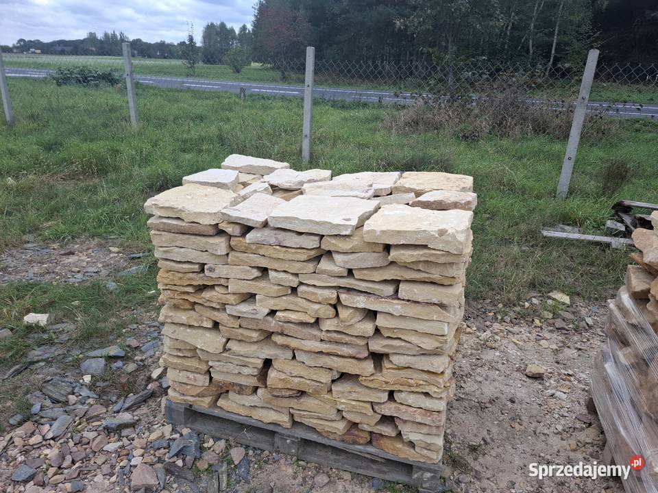 Usługi ogodnicze wycinki porządkowanie działek Piotrków Trybunalski