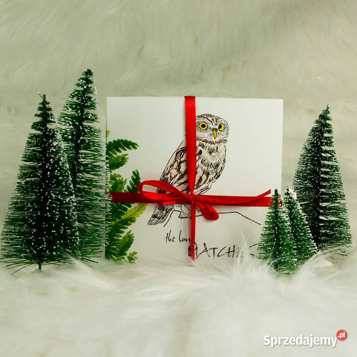 Zapałki Długie seria Natura różne rodzaje Pozostałe