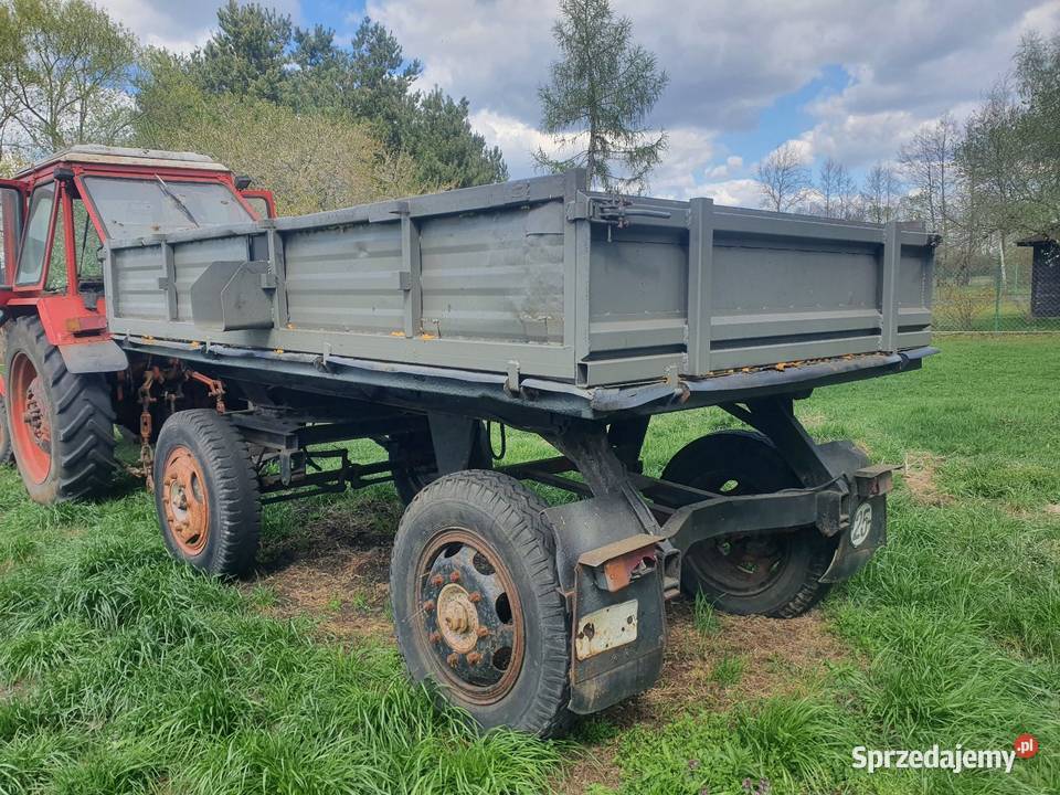 Przyczepa wywrotka ifa thk Giżyn