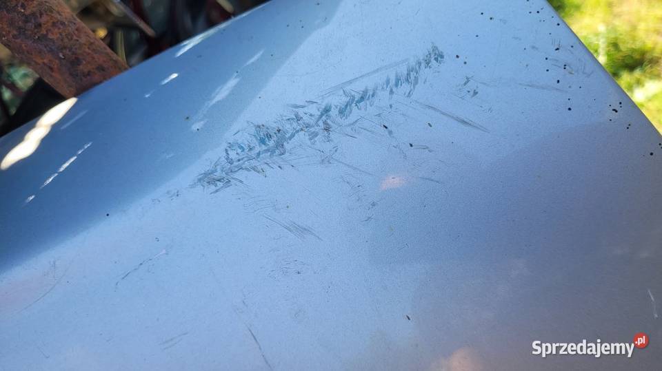 Drzwi Renault Kangoo I Łagów