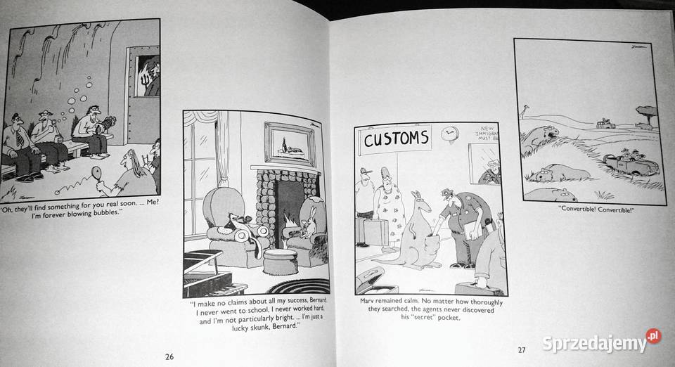 Last chapter and worse A far side collection lubelskie Chełm