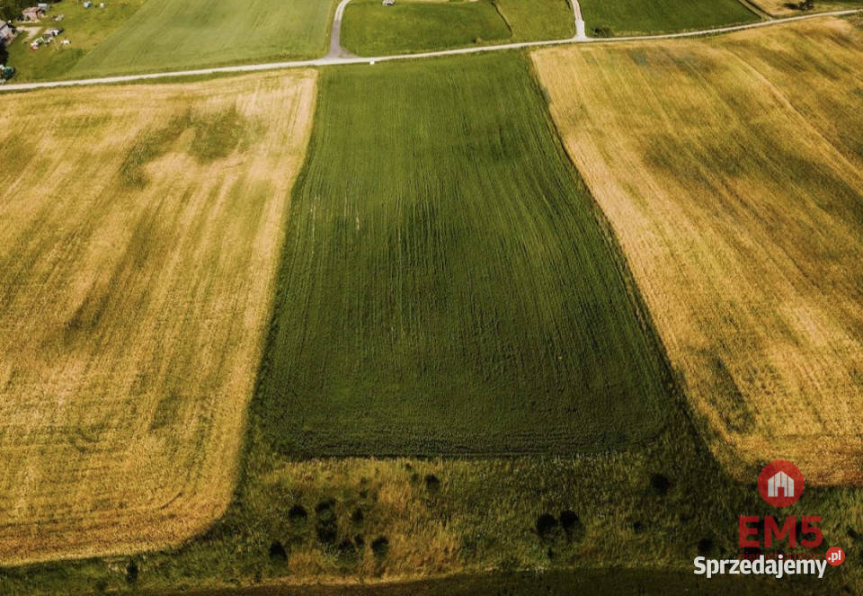 Działka 12000m2 Żegary rolna