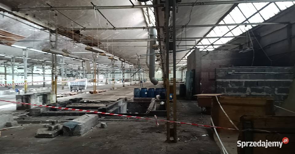 Syndyk sprzeda dwie hale produkcyjne biuro Sprzedaż Kudowa-Zdrój