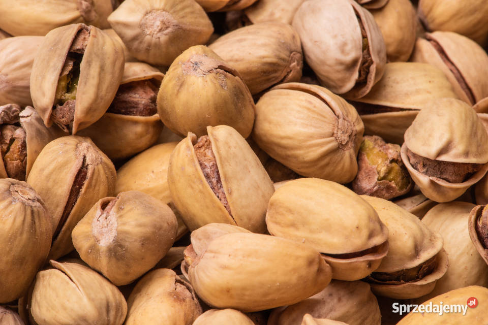 Pistacje solone 500g OBSERWUJ Orzechy Kraków