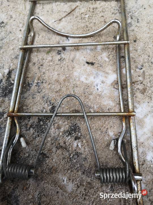 Rower Turing 2Romet bagażnik