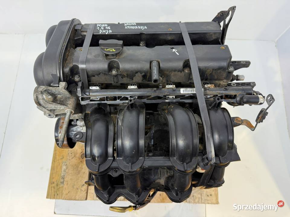SILNIK SNJA Ford Fiesta VII MK7 125 82 KOMPLETNY Chełm