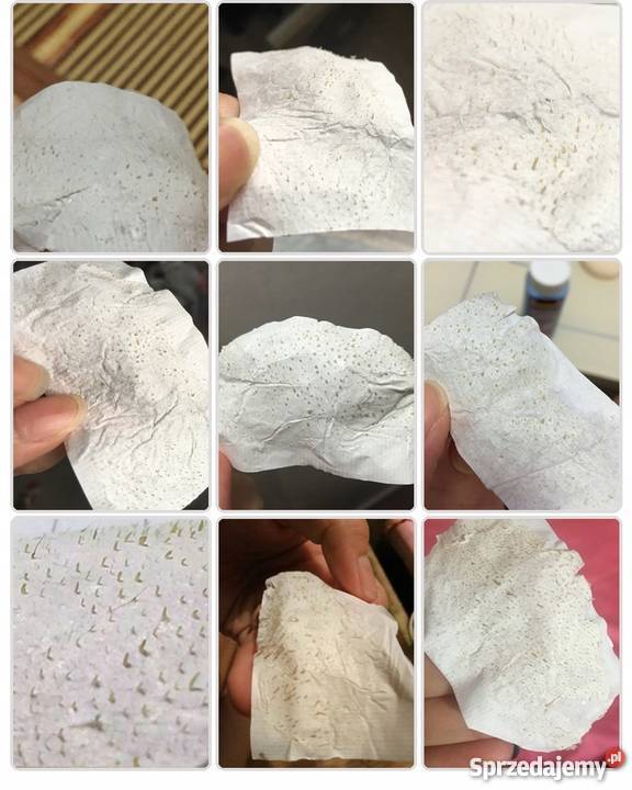 LANBENA Plastry Oczyszczające Nos 60 30g Z Płock sprzedam