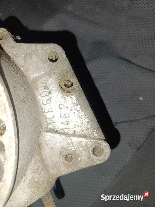 Kartery panonia Kielce