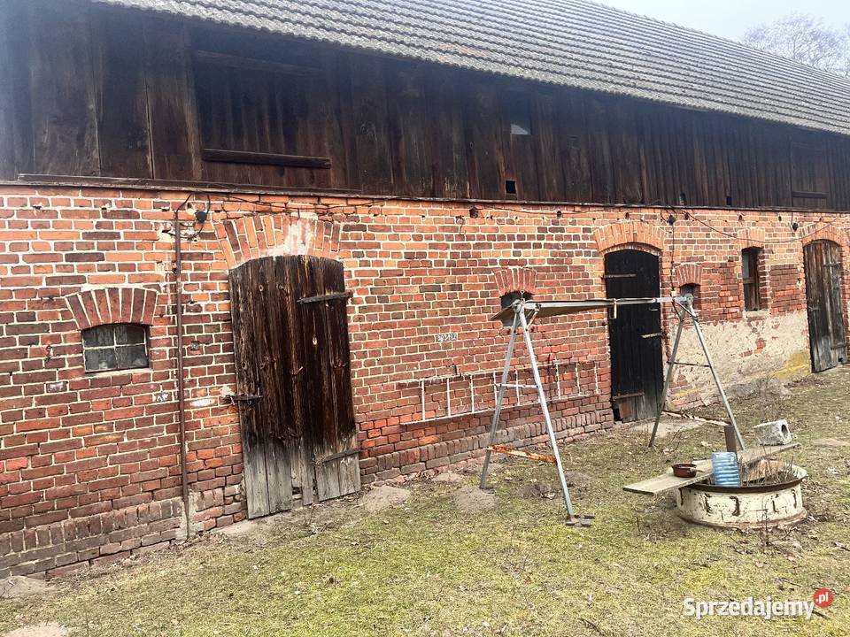 Dom w zabudowie bliżniaczej z zabudową Sprzedaż dolnośląskie sprzedam