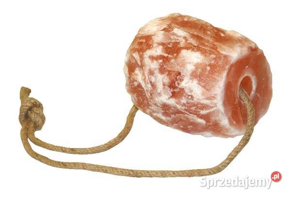 Lizawka himalajska koni 25 1617321554 małopolskie Kamionna