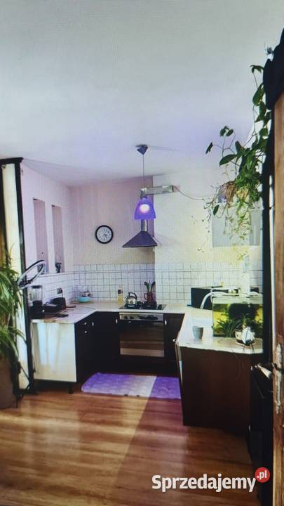 2pok 58met Zaporowskiej BALKONPIWNICA Wrocław Liczba pokoi 2 Sprzedaż sprzedam