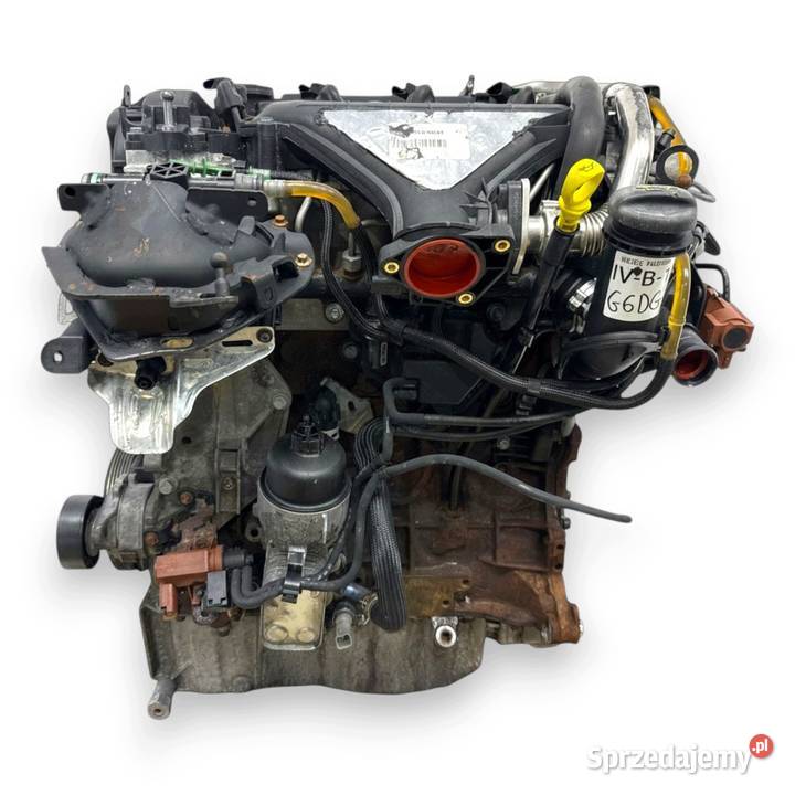 SILNIK G6DG Ford Kuga 20 TDCI 136 diesel osobowe lubelskie
