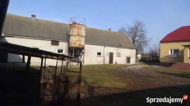 Gospodarstwo rolne 7 ha z budynkami rolna Dobrzejewice