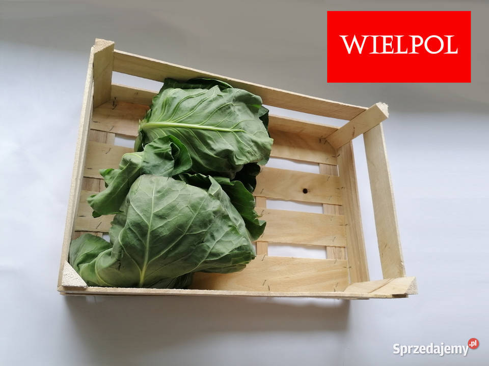 Skrzynki drewniane do kapusty Skrzynki z Wielichowo