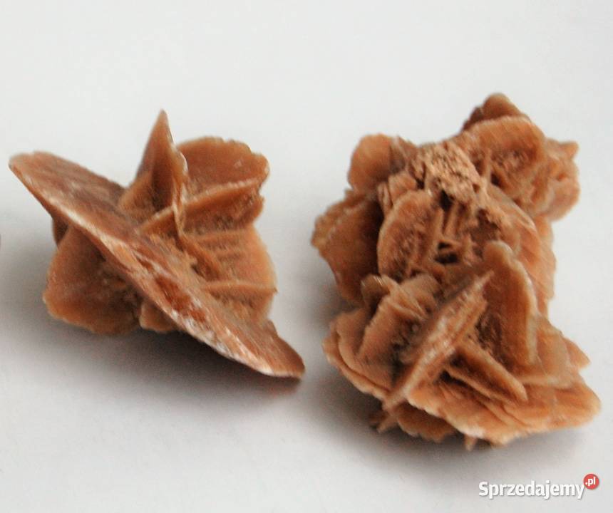 Róża pustyni kamień Sahara 83 lubelskie Lublin