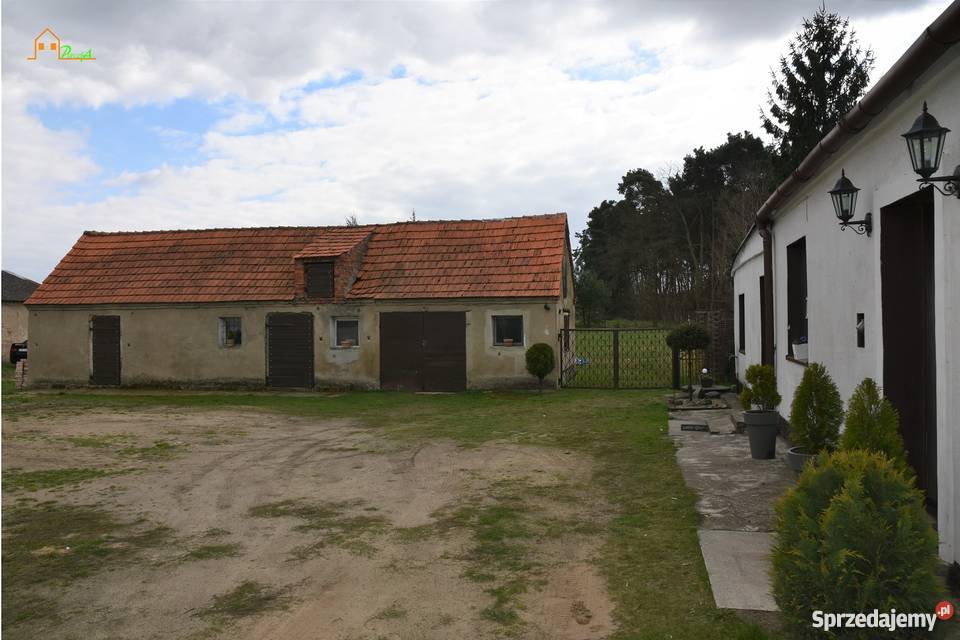 Dom budynek gospodarczy działka 2122 m2 asfalt