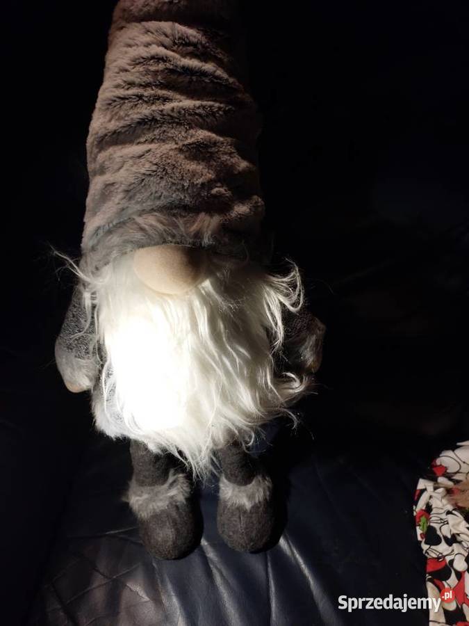 Krasnal duży 66 na sprężynach Wrocław