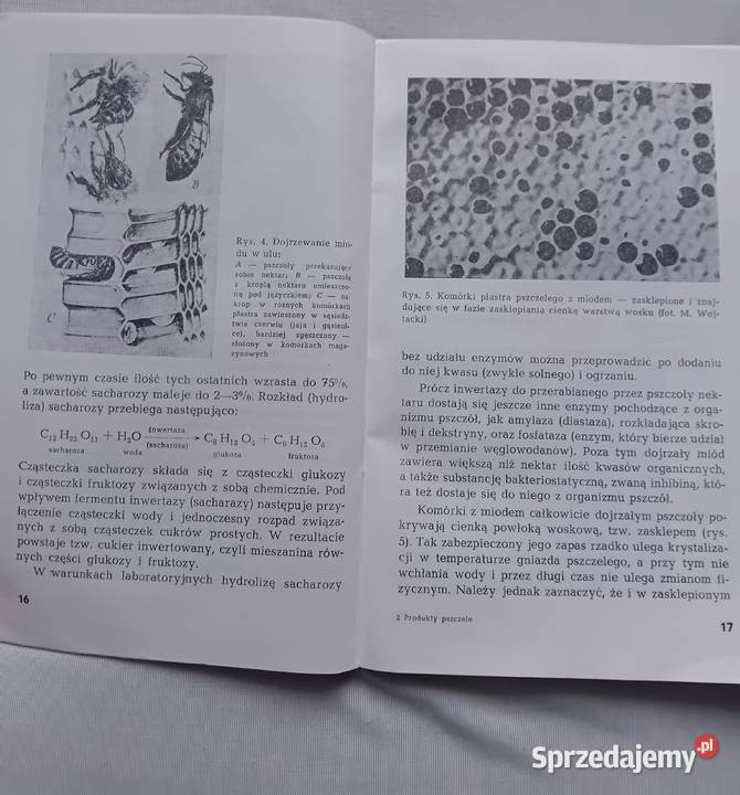 M Wojtacki Produkty pszczele i przetwory miodowe Koźminek