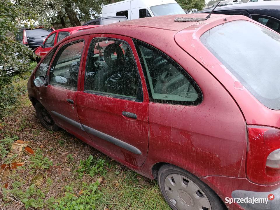 Citroen Xsara Picasso 20 HDi 66 kW 2002 r dawca Szklarka Myślniewska