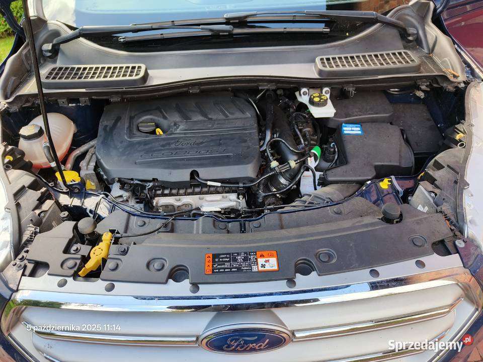 Ford Kuga 2018 150 benzyna Potasznia