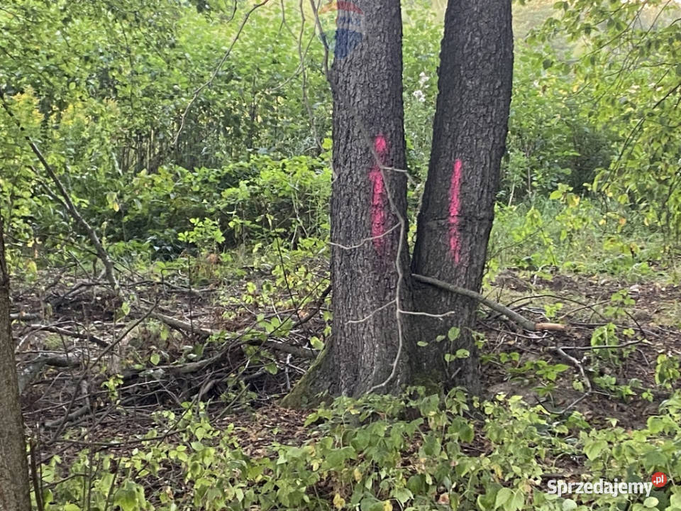 Działka budowlana w spokojnej okolicy Sprzedaż Siestrzeń sprzedam