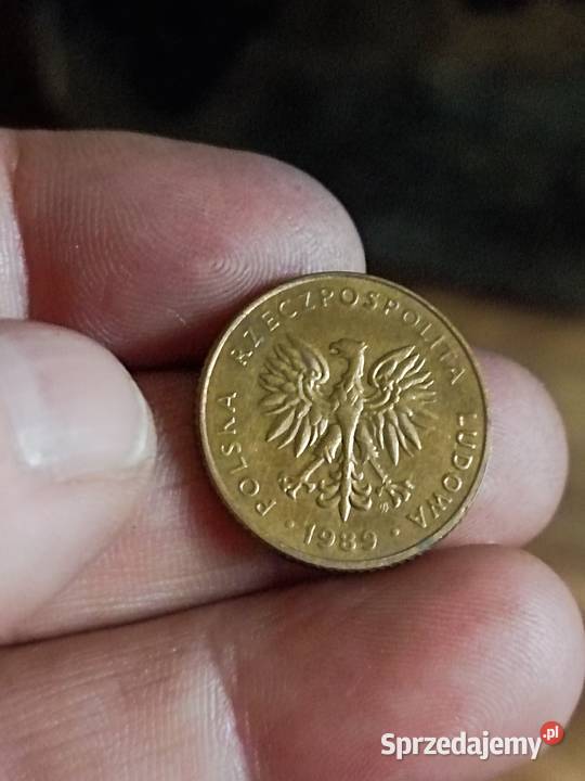 Sprzedam 10 zl 1989 r zzm Chełm