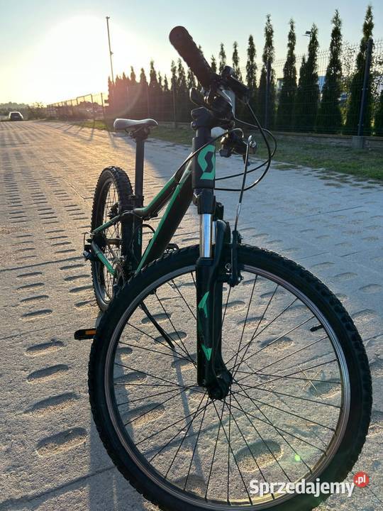 SCOTT Scale JR 24 Shimano Alivio 21 biegów