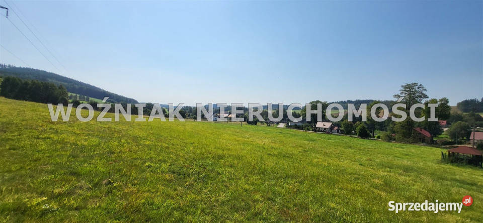 Do sprzedaży działka 3109m2 Grzędy Górne
