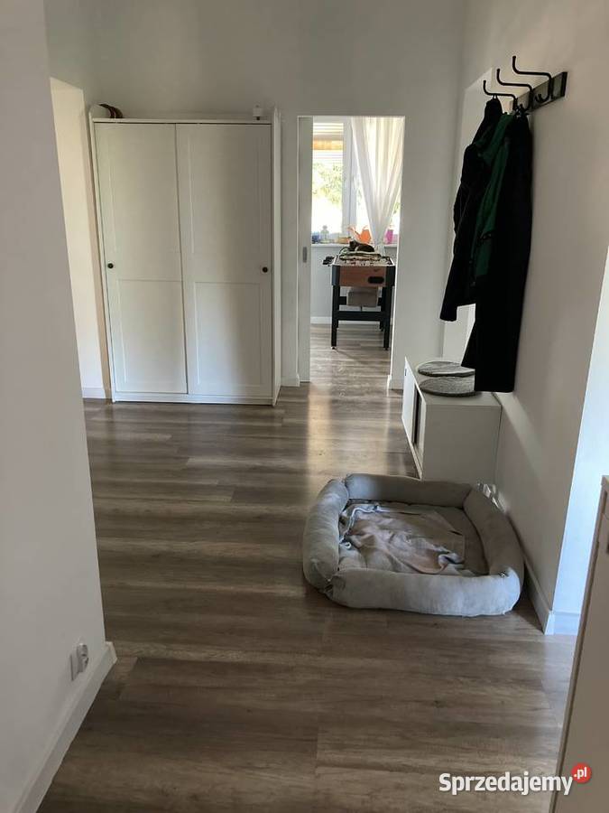 Syndyk sprzeda udział 12 w nieruchomości mazowieckie Raszyn