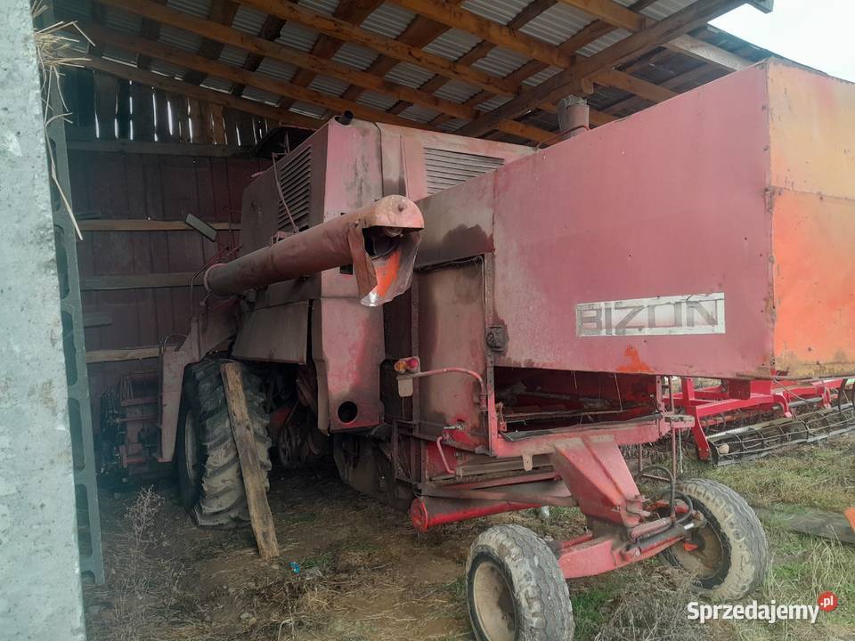 Bizon sprzedam