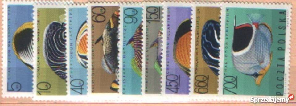 Zn Fi 1600 8 1967 Gliwice