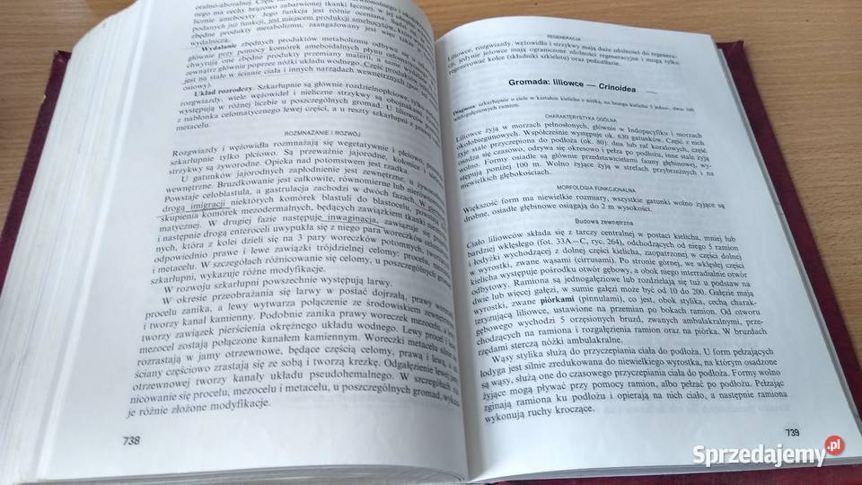 Bezkręgowce podstawy morfologii funkcjonalnej pomorskie Gdańsk sprzedam