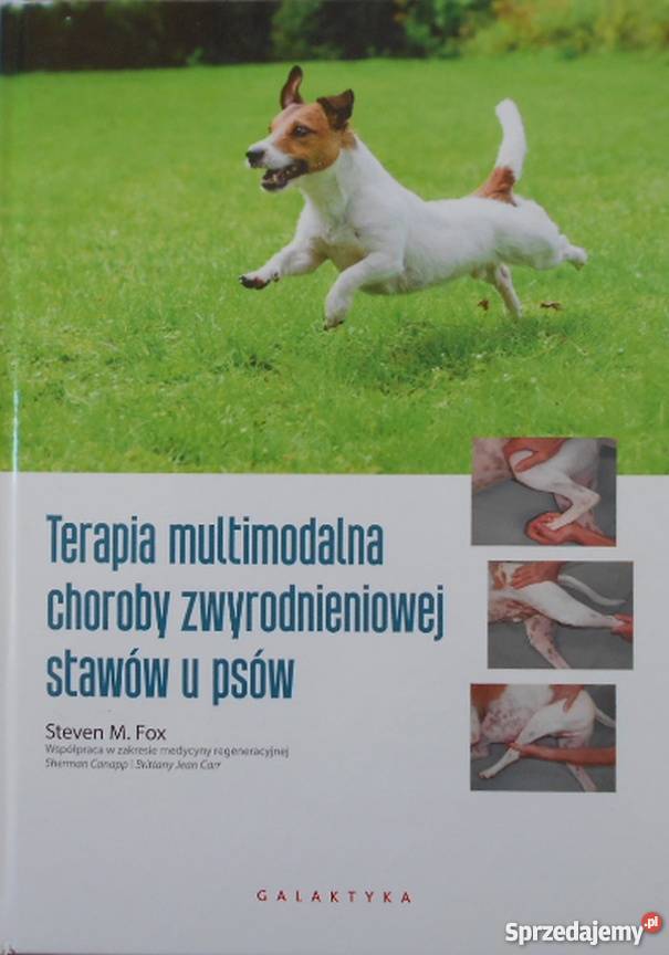 TERAPIA MULTIMODALNA CHOROBY ZWYRODNIENIOWEJ Poradniki, albumy i reportaże dolnośląskie Wrocław