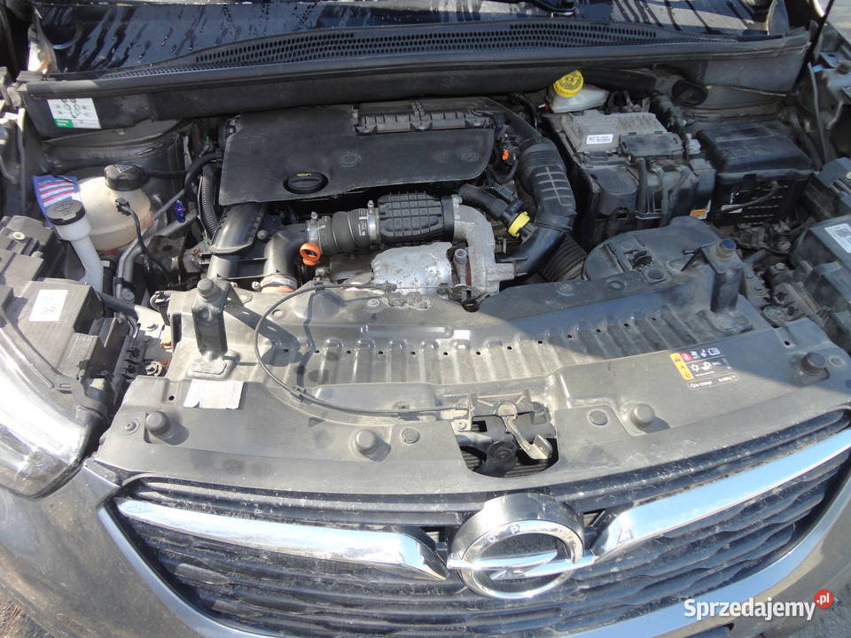 Opel Crossland X Lublin