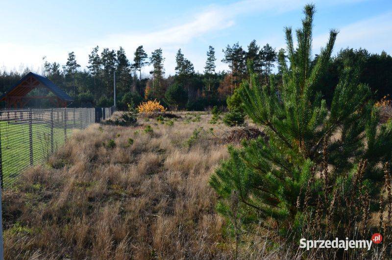 Działka budowlana w spokojnej okolicy jeziora Sprzedaż mazowieckie Miałkówek