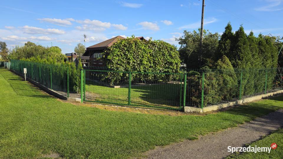 Działka rekreacyjna z domkiem ROD Dzierlin siatka