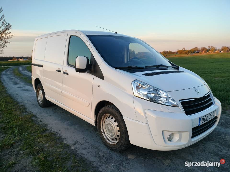 Peugeot Expert kujawsko-pomorskie Nieżywięć