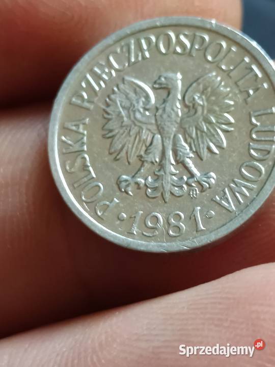 Sprzedam 10 gr 1981 r skretka Chełm sprzedam