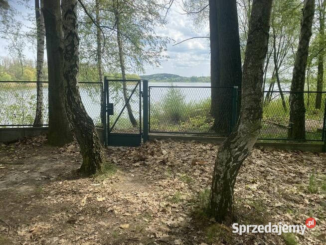 Domek zalewem Przeczyce