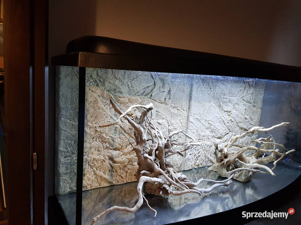 Akwarium panoramiczne 210 l tło strukturalne Led Akcesoria dla zwierząt śląskie