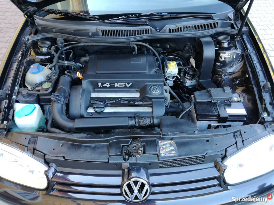 Volkswagen Golf 4 14 Benzyna Czarny Klima 1400cm3 Zamość