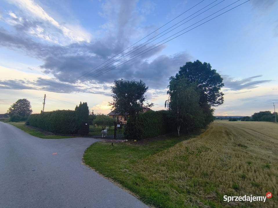 Siedlisko 219 ha dom 150m ROZTOCZE ZACHODNIE piwnica Czernięcin Poduchowny