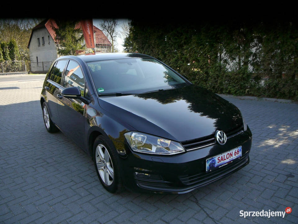 Volkswagen Golf 16tdi 150tkm Stan b 149786km Częstochowa